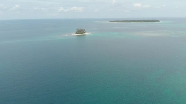 Aérien Survolant Une Île Tropicale Plage Blanche Caraïbes Mer Turquoise — Video