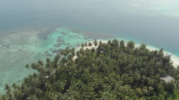 航空写真 熱帯の島の白いビーチ カリブ海青緑色の水サンゴ礁の上を飛んでください インドネシア スマトラ島沖シムルエ島 シュノーケ リング ダイビング観光地 ネイティブ Cinelike — ストック動画