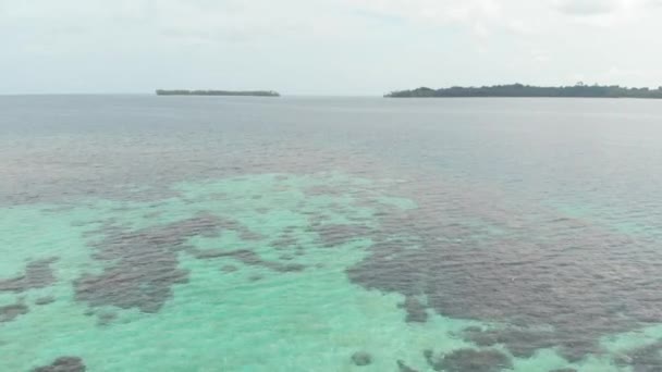 航空写真 サンゴ礁熱帯の島カリブ海のターコイズ ブルーの水の上を飛んでください インドネシア スマトラ島沖シムルエ島 旅行先のダイビング シュノーケ リングします ネイティブ Cinelike — ストック動画