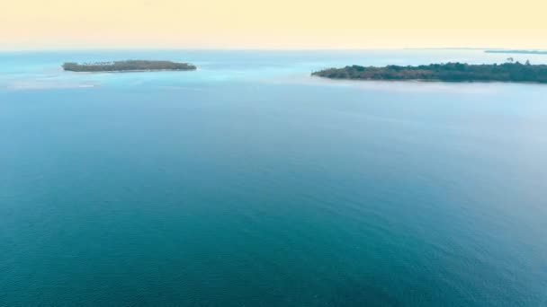 Aérien Survolant Récif Corallien Îles Tropicales Caraïbes Mer Turquoise Eau — Video