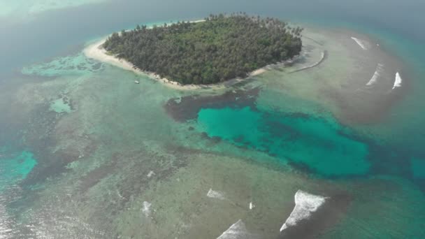 航空写真 熱帯の島の白いビーチ カリブ海青緑色の水サンゴ礁の上を飛んでください インドネシア スマトラ島沖シムルエ島 シュノーケ リング ダイビング観光地 ネイティブ Cinelike — ストック動画