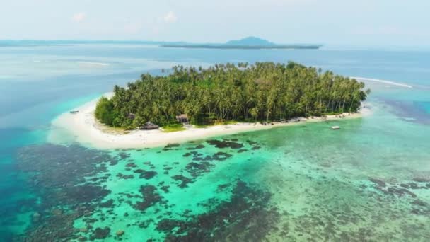 航空写真 熱帯の島の白いビーチ カリブ海青緑色の水サンゴ礁の上を飛んでください インドネシア スマトラ島沖シムルエ島 シュノーケ リング ダイビング観光地 — ストック動画