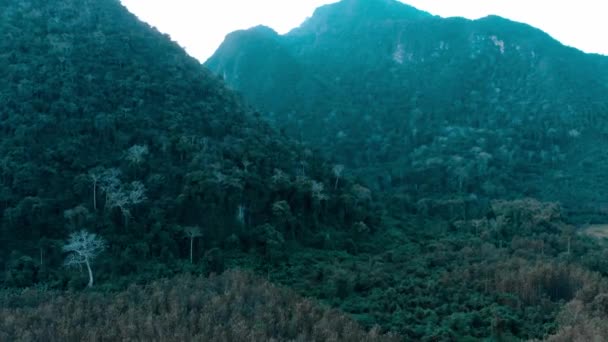 Aerial Drone Flying Natural Rainforest Green Jungle Populating Steep Valley — Stock Video