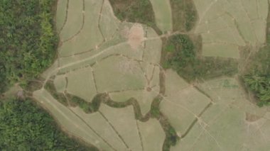 Havadan: üstten aşağı görünümü kuru sezonda teraslı alan pirinç tarlaları, Laos Asya 'da Vang Vieng popüler seyahat destinasyonu kırsal. Yerel cinelike D-log renk profili