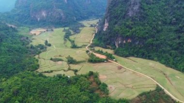 Havadan: doğal kayalıklar üzerinde uçan Pinnacles tropikal orman pirinç tarlaları Valley çarpıcı manzara Vang Vieng etrafında Laos Asia popüler hedef. Yerel cinelike D-log renk profili
