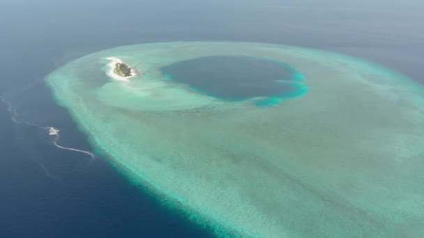 Antenn Flyger Över Idylliska Atoll Resmål Wakatobi National Park Indonesien — Stockvideo