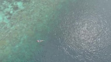 Hava: mercan resifi tropikal Karayip Deniz Endonezya Sulawesi Wakatobi Marine National Park, turist dalış seyahat hedef üzerinde kadın şnorkelli yüzme. Yerel cinelike D-log renk profili.