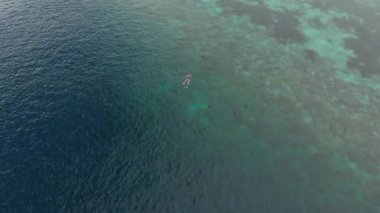 Hava: mercan resifi tropikal Karayip Deniz Endonezya Sulawesi Wakatobi Marine National Park, turist dalış seyahat hedef üzerinde kadın şnorkelli yüzme. Yerel cinelike D-log renk profili.