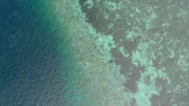 Hava: mercan resifi tropikal Karayip Deniz Endonezya Sulawesi Wakatobi Marine National Park, turist dalış seyahat hedef üzerinde kadın şnorkelli yüzme. Yerel cinelike D-log renk profili.
