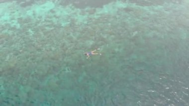 Hava: mercan resifi tropikal Karayip Deniz Endonezya Sulawesi Wakatobi Marine National Park, turist dalış seyahat hedef üzerinde kadın şnorkelli yüzme. Yerel cinelike D-log renk profili.