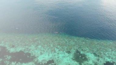Havadan: insanlar mercan resifi tropikal Karayip Deniz Endonezya Sulawesi Wakatobi Marine National Park, turist dalış seyahat destinasyon şnorkelli yüzme. Yerel cinelike D-log renk profili.