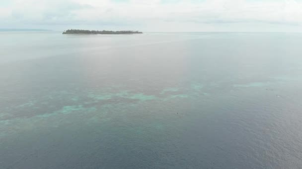Εναέρια Άνθρωποι Ψαροντούφεκο Στον Κοραλλιογενή Ύφαλο Τροπική Καραϊβική Θάλασσα Ινδονησία — Αρχείο Βίντεο
