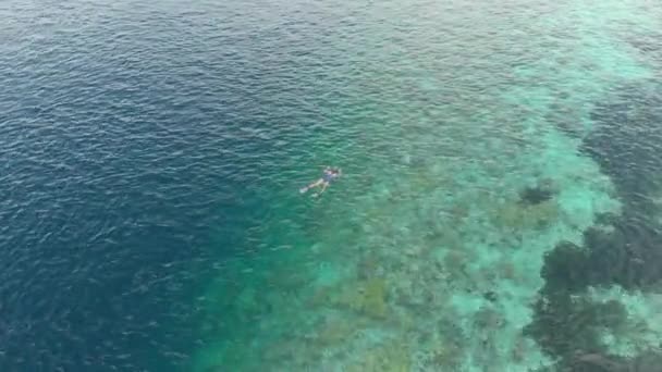 Aéreo Mulher Snorkeling Recife Coral Tropical Caribe Mar Indonésia Sulawesi — Vídeo de Stock