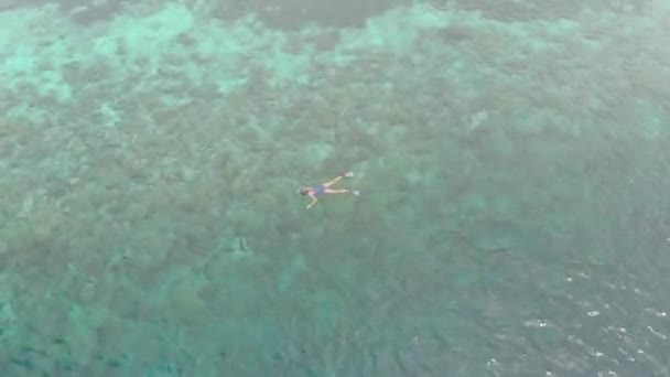 Aerial Vrouw Snorkelen Koraalriffen Tropische Caribische Zee Indonesië Sulawesi Wakatobi — Stockvideo