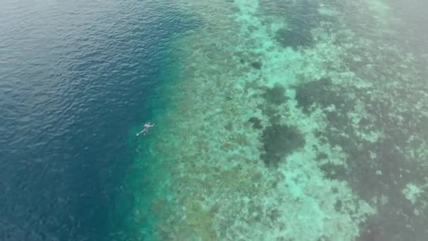 Aerial Vrouw Snorkelen Koraalriffen Tropische Caribische Zee Indonesië Sulawesi Wakatobi — Stockvideo