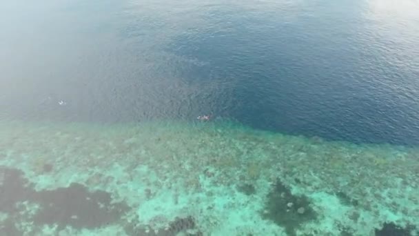 Aéreo Pessoas Snorkeling Recife Coral Tropical Caribe Mar Indonésia Sulawesi — Vídeo de Stock