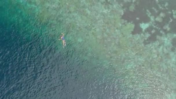 サンゴ礁上の女性シュノーケリング熱帯カリブ海インドネシアスラウェシ Wakatobi 海洋国立公園 観光ダイビングの旅の目的地 ネイティブ Cinelike ログカラープロファイル — ストック動画