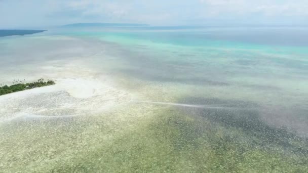 공원에서 목적지 인도네시아 몰디브 폴리네시아 터키석 산호초 화이트 — 비디오