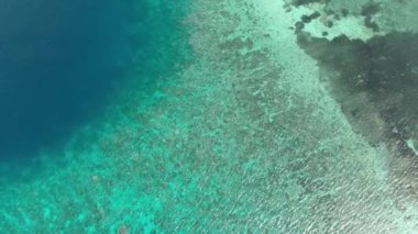 Havadan: mercan resifi turkuaz su tropikal ada üzerinde uçan, Wakatobi Ulusal Parkı Endonezya Maldivler Polinezyası manzaralı seyahat hedef. Yerel cinelike D-log renk profili