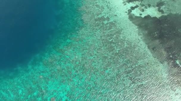 Luchtfoto Vliegen Koraalriffen Turquoise Water Tropisch Eiland Scenic Reisbestemming Wakatobi — Stockvideo