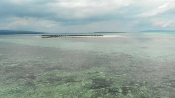 熱帯の島の上を飛んで Wakatobi 国立公園での旅行の目的地インドネシアモルディブポリネシアターコイズブルーウォーターコーラルリーフホワイトサンドビーチネイティブ Cinelike ログカラープロファイル — ストック動画