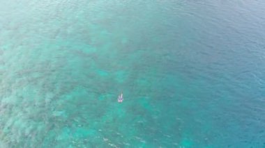 Hava: mercan resifi tropikal Karayip Deniz Endonezya Sulawesi Wakatobi Marine National Park, turist dalış seyahat hedef üzerinde kadın şnorkelli yüzme. Yerel cinelike D-log renk profili.
