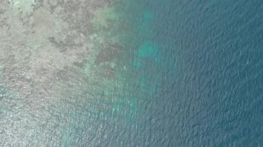 Hava: mercan resifi tropikal Karayip Deniz Endonezya Sulawesi Wakatobi Marine National Park, turist dalış seyahat hedef üzerinde kadın şnorkelli yüzme. Yerel cinelike D-log renk profili.
