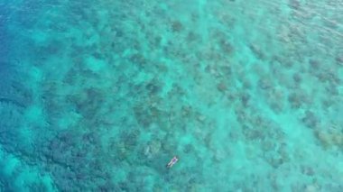 Hava: mercan resifi tropikal Karayip Deniz Endonezya Sulawesi Wakatobi Marine National Park, turist dalış seyahat hedef üzerinde kadın şnorkelli yüzme. Yerel cinelike D-log renk profili.