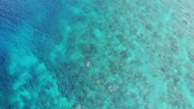 Hava: mercan resifi tropikal Karayip Deniz Endonezya Sulawesi Wakatobi Marine National Park, turist dalış seyahat hedef üzerinde kadın şnorkelli yüzme. Yerel cinelike D-log renk profili.