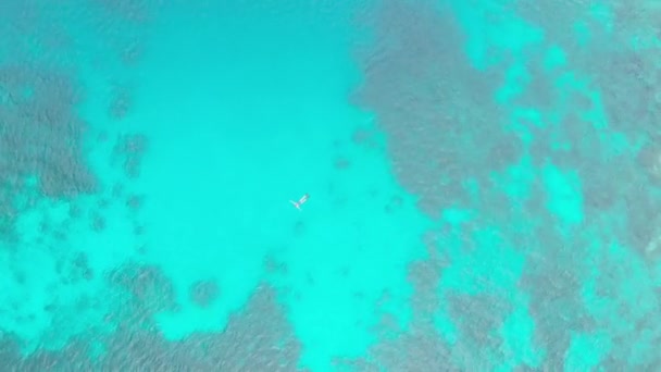 Aerial Woman Snorkeling Coral Reef Tropical Caribbean Sea Indonesia Sulawesi — Stock Video