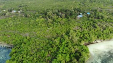 Havadan: tropikal ada uçan, Wakatobi Ulusal Park Endonezya Maldivler Polonezyası turkuaz su mercan resifin beyaz kum plaj seyahat hedef. Yerel cinelike D-log renk profili