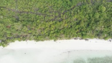 Havadan: tropikal ada uçan, Wakatobi Ulusal Park Endonezya Maldivler Polonezyası turkuaz su mercan resifin beyaz kum plaj seyahat hedef. Yerel cinelike D-log renk profili