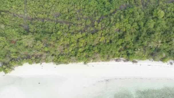 飞越热带岛屿 旅游目的地在印度尼西亚印度尼西亚瓦卡托比国家公园 波利尼西亚绿松石水珊瑚礁白色沙滩 原生电影型 日志颜色配置文件 — 图库视频影像