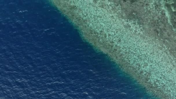 Антена: польоти над тропічним пляжем Бірюзова вода кораловий риф, Tomia острова Wakatobi Національний парк Індонезія Мальдіви Мальдівських білий піщаний пляж. Нативний колір D-log колірний профіль — стокове відео