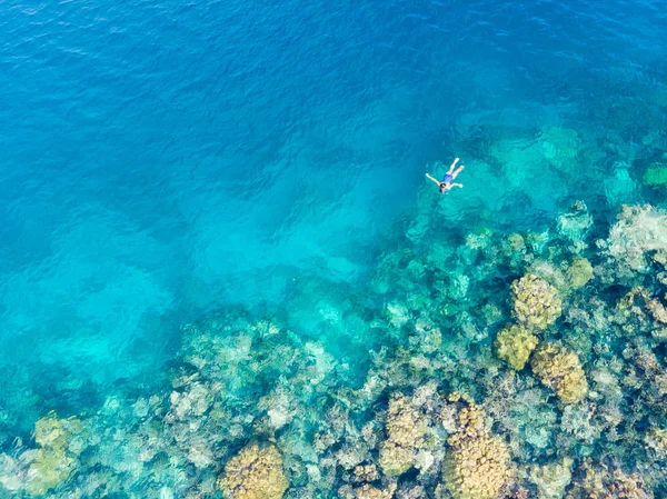 Flyg uppifrån och ner människor snorkla på korallrev tropiska karibiska havet, turkos blått vatten. Indonesien Wakatobi skärgård, marina nationalpark, turist dykning resmål — Stockfoto