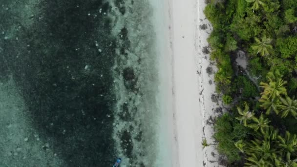 Aerial: Flying over tropical beach turquoise water coral reef, Tomia island Wakatobi National Park Indonesia Maldives Polynesia white sand beach. Натуральный коричневый профиль цвета D-log — стоковое видео