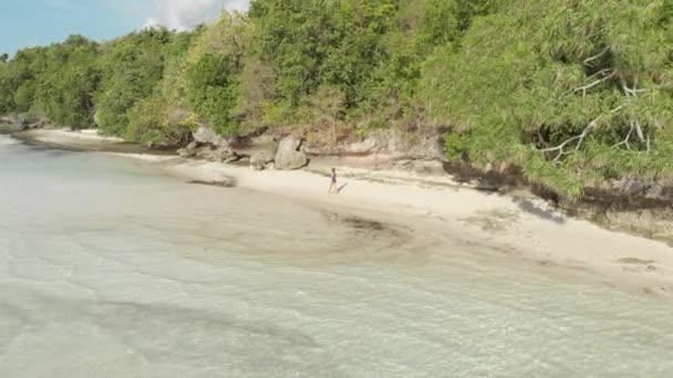 Aérea: woman walking on tropical island turquoise water white sand beach, Tomia Island, Wakatobi marine national park, Indonesia, Perfil del color D-log cinelike nativo — Vídeo de stock