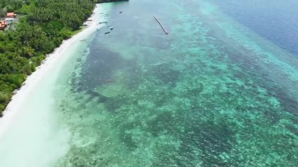 Aerea: Volando sulla spiaggia tropicale barriera corallina turchese acqua, isola di Tomia Wakatobi Parco Nazionale Indonesia Maldive Polinesia spiaggia di sabbia bianca — Video Stock