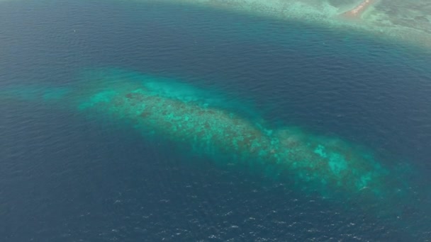 Letecká stanice: létající korálový útes tyrkysově vodní tropický ostrov, vyhlídkový směr cestování ve Wakatobi National Park Indonésie maledivská Polynésie. Nativní cinepodobné profil barev D-log — Stock video