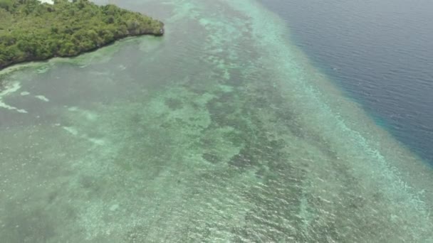 Aérea: Volando sobre la playa tropical arrecife de coral de agua turquesa, isla de Tomia Parque Nacional Wakatobi Indonesia Maldivas Polinesia playa de arena blanca. Perfil de color D-log cinelike nativo — Vídeo de stock