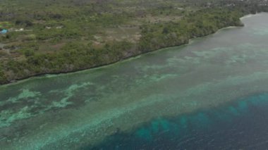 Hava: Tropikal plaj turkuaz su mercan resifi üzerinde uçan, Tomia adası Wakatobi Milli Parkı Endonezya Maldivler Polinezyası beyaz kum plaj. Yerli cinelike D-log renk profili