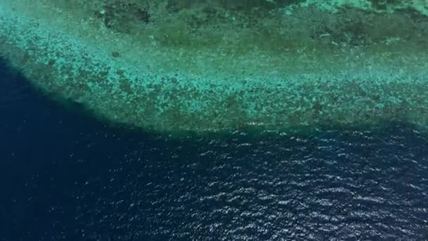 Aérea: Volando sobre la playa tropical arrecife de coral de agua turquesa, isla de Tomia Parque Nacional Wakatobi Indonesia Maldivas Polinesia playa de arena blanca — Vídeo de stock