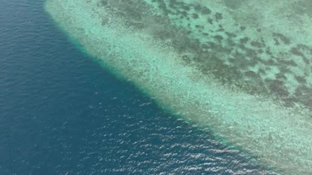 Aérea: Volando sobre la playa tropical arrecife de coral de agua turquesa, isla de Tomia Parque Nacional Wakatobi Indonesia Maldivas Polinesia playa de arena blanca. Perfil de color D-log cinelike nativo — Vídeo de stock