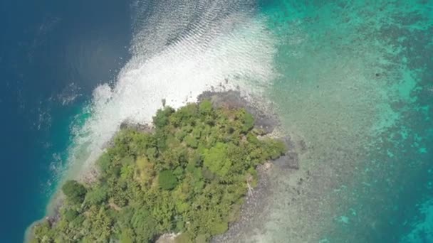 航空写真:バンダ諸島の活火山グヌンアピ溶岩の上を飛ぶマルクインドネシア緑豊かな緑の森ターコイズ水サンゴ礁の風光明媚な旅行先。ネイティブシネのようなD-logカラープロファイル — ストック動画