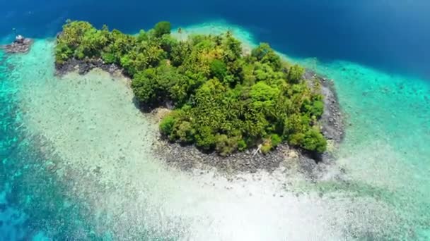 Antenne: vliegen over tropisch eiland Banda eilanden Maluku Indonesia Malediven Polynesië weelderig groen bos turquoise water Coral Reef Scenic reisbestemming — Stockvideo