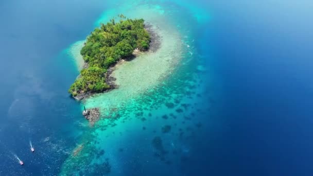 航空写真:熱帯の島バンダ諸島マルクインドネシアモルディブの上空を飛ぶポリネシア緑豊かな森ターコイズウォーターサンゴ礁の風光明媚な旅行先 — ストック動画