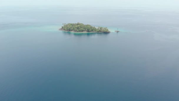 Aérea: volando sobre isla tropical Islas Banda Maluku Indonesia Maldivas Polinesia exuberante bosque verde agua turquesa arrecife de coral destino turístico escénico. Perfil de color D-log cinelike nativo — Vídeos de Stock