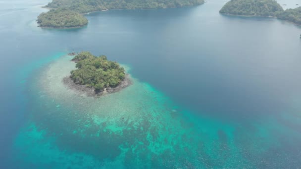 공중 : 열대 섬 반다 제도 말루쿠 인도네시아 몰디브 폴리네시아 무성한 녹색 숲 청록색 물 산호초 아름다운 여행 목적지를 통해 비행. 네이티브 시네라이크 D-로그 색상 프로파일 — 비디오