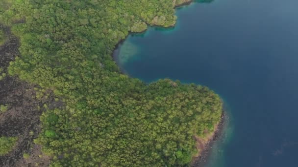Aérea: volando sobre isla tropical Islas Banda Maluku Indonesia exuberante bahía de bosque verde de agua turquesa arrecife de coral destino turístico escénico. Perfil de color D-log cinelike nativo — Vídeo de stock