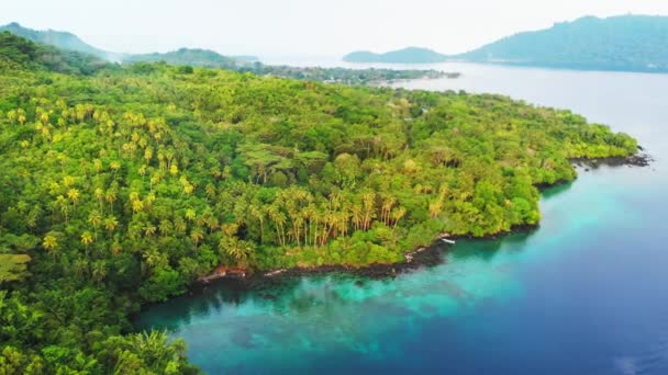 Aérea: volando sobre isla tropical Islas Banda Maluku Indonesia Maldivas Polinesia exuberante bosque verde agua turquesa arrecife de coral destino turístico escénico. Perfil de color D-log cinelike nativo — Vídeos de Stock